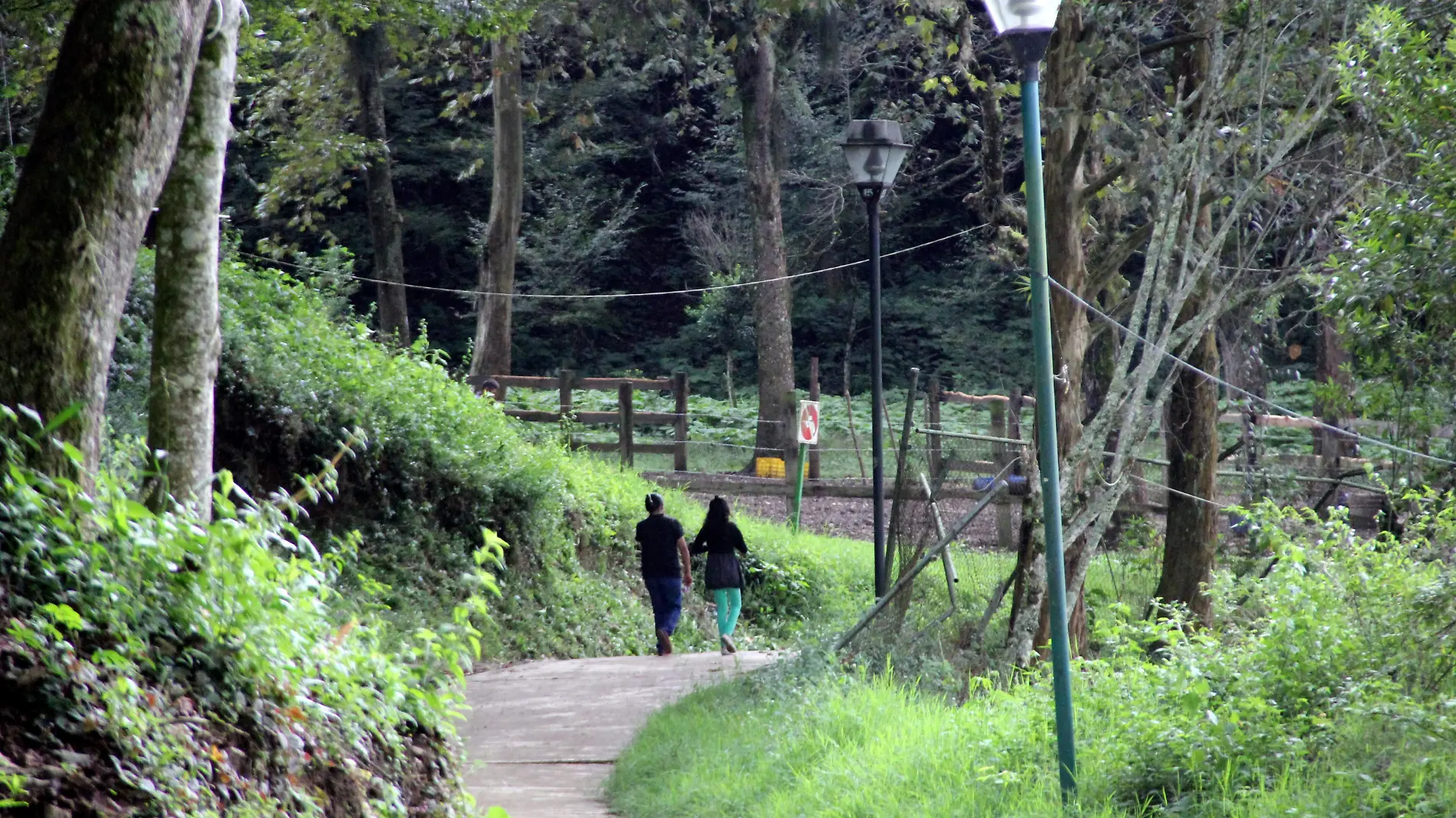 JE14122022001Santuario de las Garzas